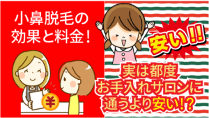 小鼻脱毛の効果と料金！実は都度お手入れサロンに通うより安い！？